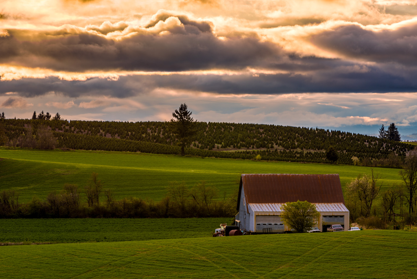 Random Oregon Photos of the Day | dav.d photography