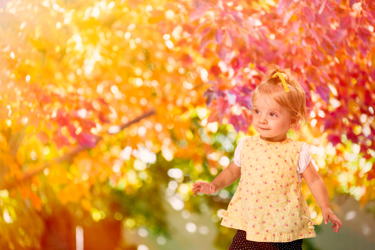 Месяц рождения характер. Рожден девочки в сентябре. Имена для девочек рожденных в октябре по церковному. Именины в сентябре женские имена по церковному календарю 2022. Ноябрь имена мальчиков по церковному календарю.